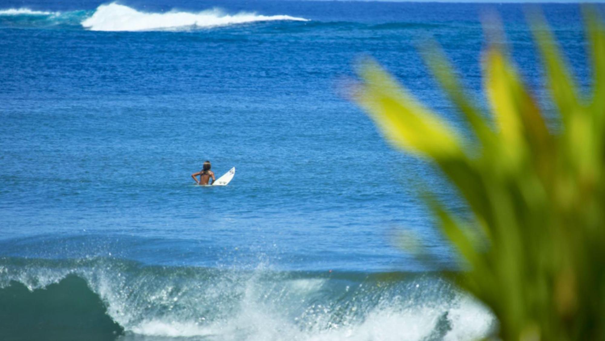 Tahiti - Bungalow Taharuu Surf Piti Villa Papara Bagian luar foto