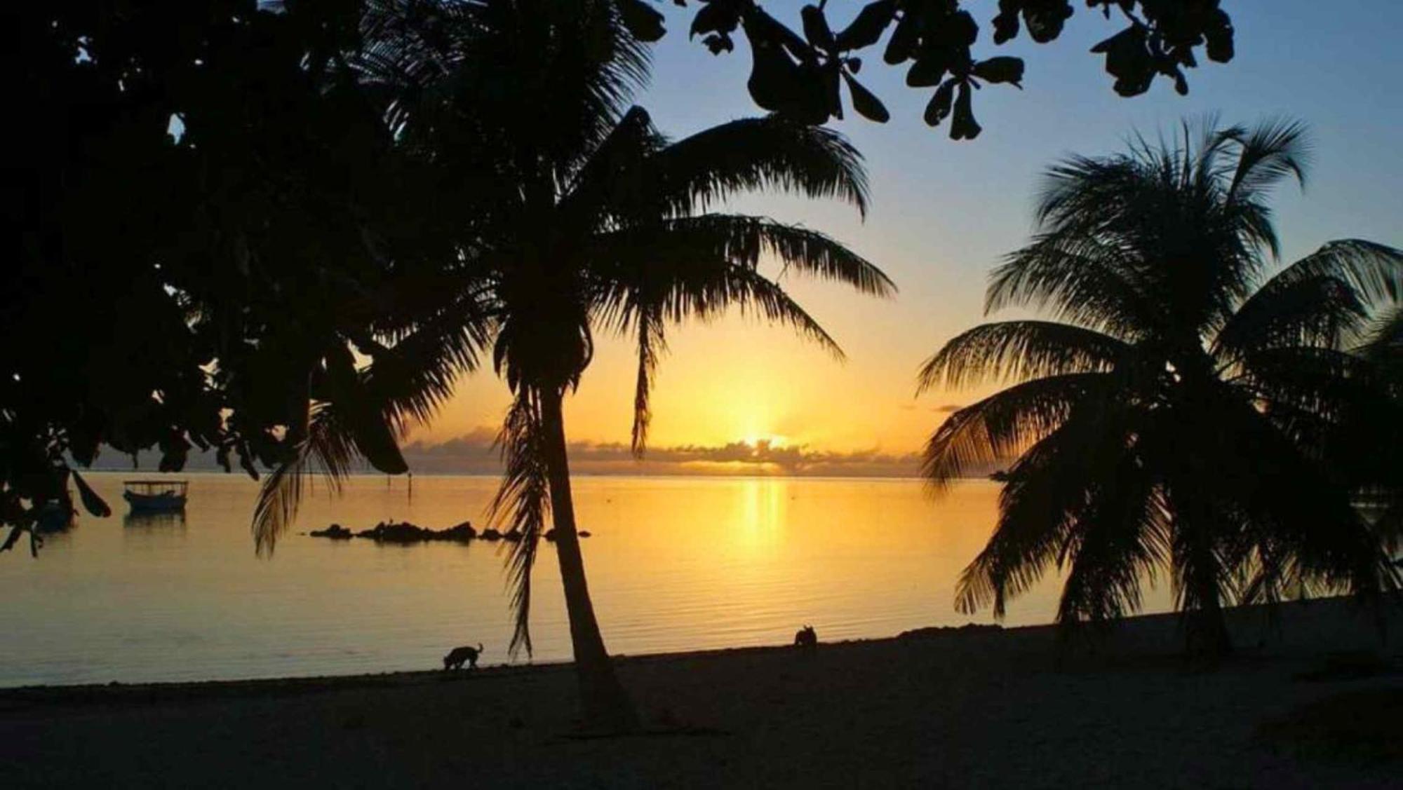 Tahiti - Bungalow Taharuu Surf Piti Villa Papara Bagian luar foto